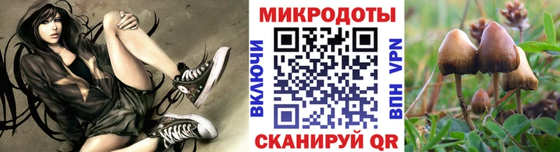Псилоцибиновые грибы Magic Shrooms  Шадринск 