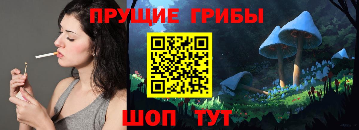 Шадринск  Псилоцибиновые грибы Cubensis  Вход с VPN 