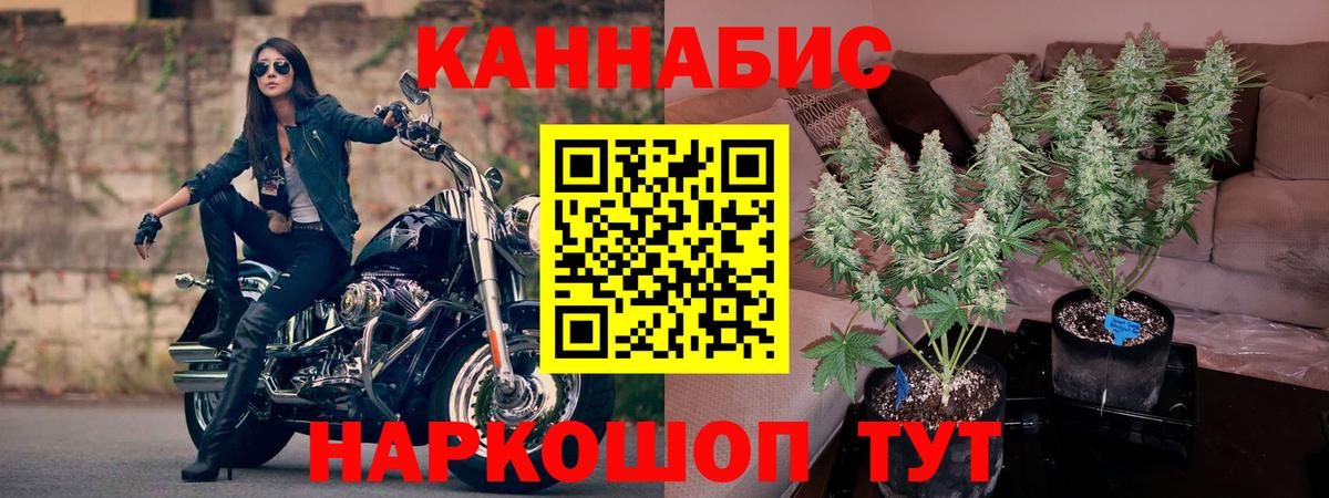 Шишки марихуана гибрид Шадринск
